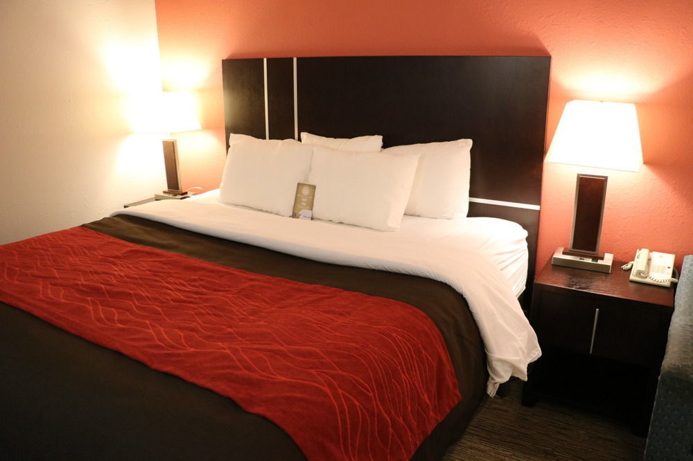 Comfort Inn & Suites Йорктон Экстерьер фото